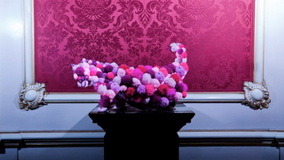 Cats Wearing Couture Throw A Party In Paris